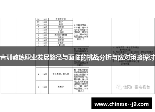 青训教练职业发展路径与面临的挑战分析与应对策略探讨