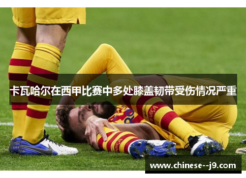 卡瓦哈尔在西甲比赛中多处膝盖韧带受伤情况严重 卡瓦哈尔在西甲比赛中多处膝盖韧带受伤情况严重